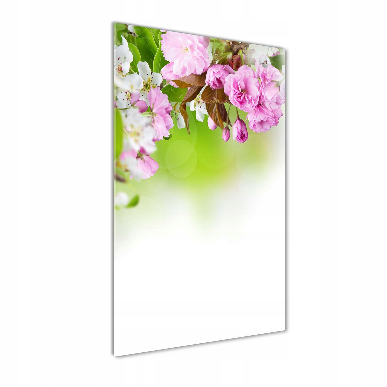 

Foto obraz na szkle pionowy Wiosenne kwiaty 50x100