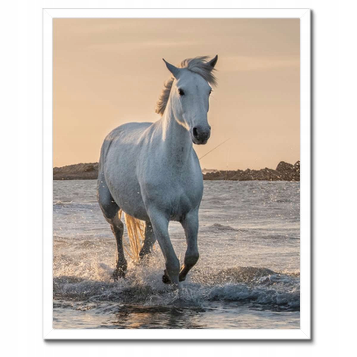 Plakáty v rámu 40x50 Divocí koně Wild Horses