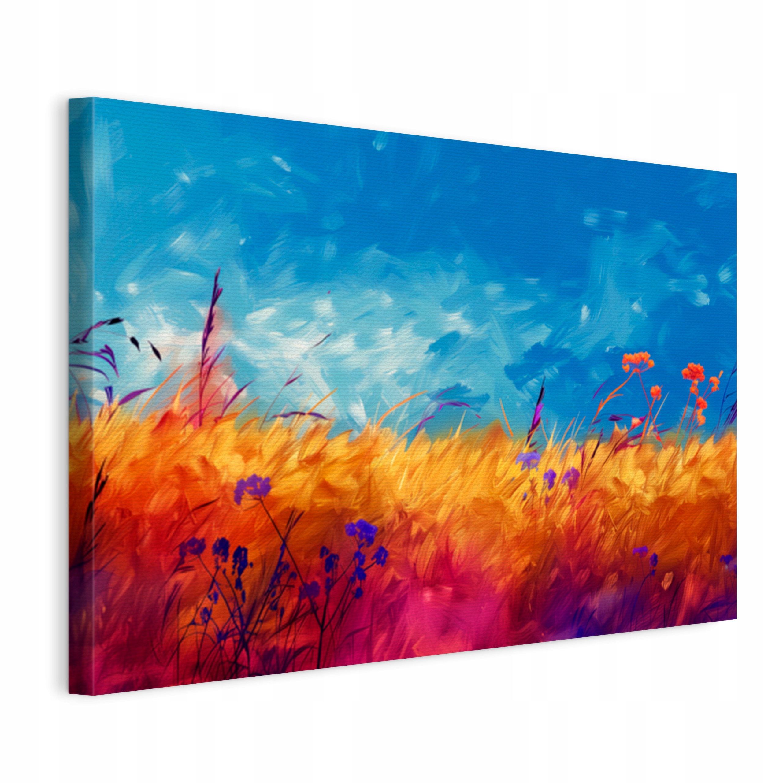Obraz na plátne Farebné trávy Pole do obývacej izby spálne 120x80