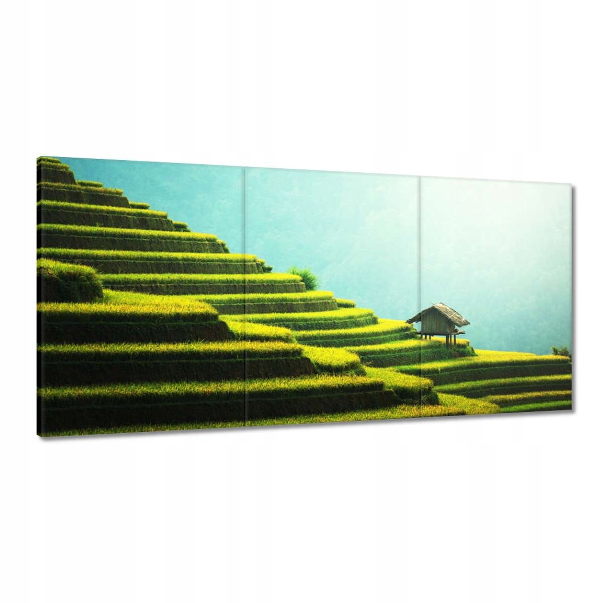 Obrazy 180x90 Tropické terasy Zeleň