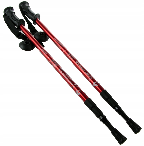 

Kijki trekkingowe Nordic Walking różne 2663