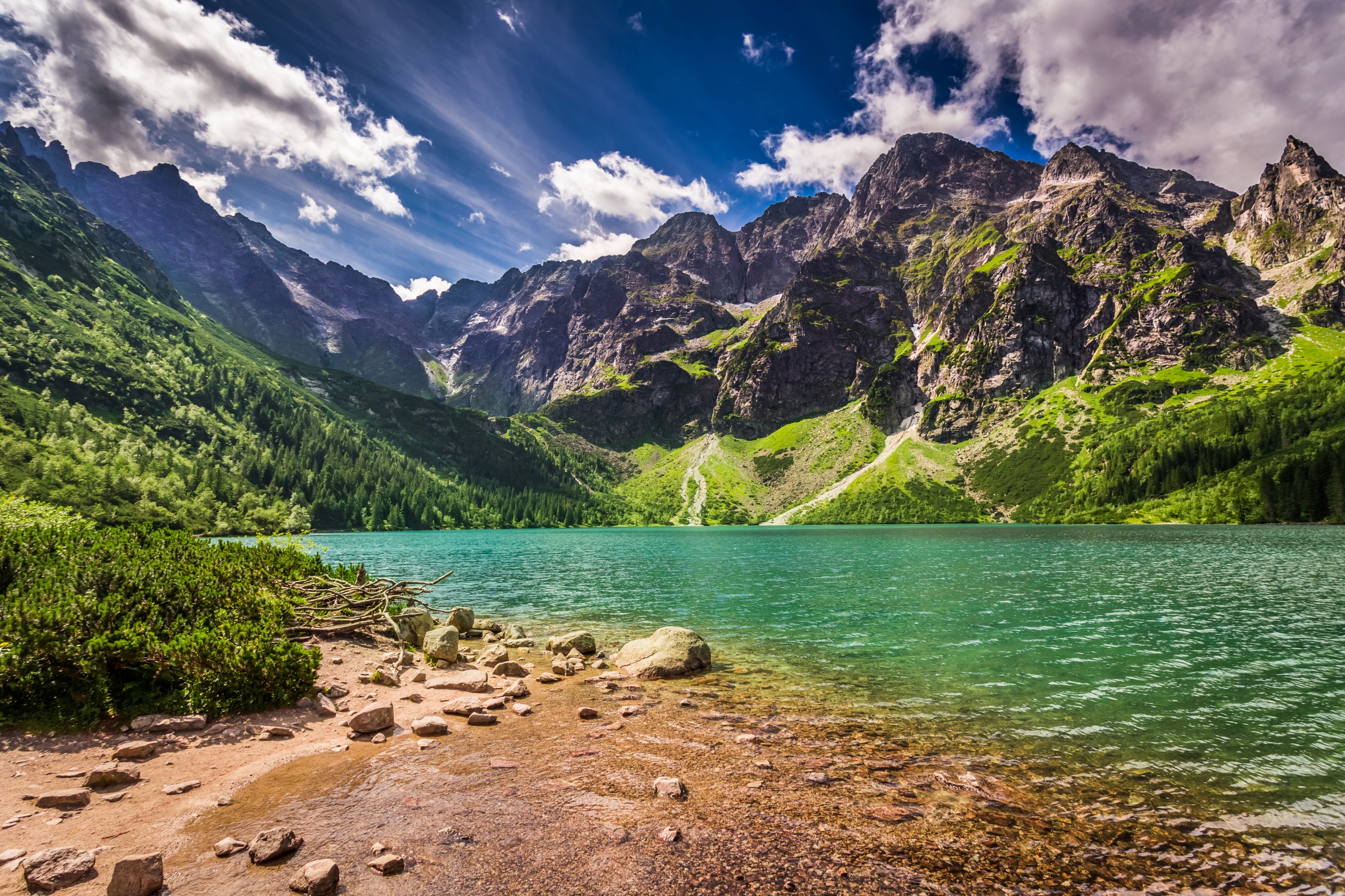 

Plakat Góry Tatry Morskie Oko 90x60 wybór wzorów