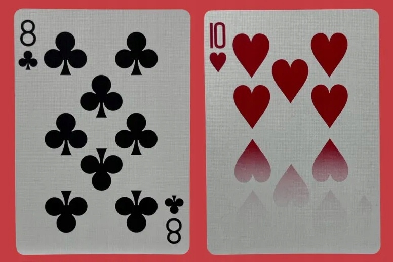 KARTY DO GRY SHIN LIM 4228