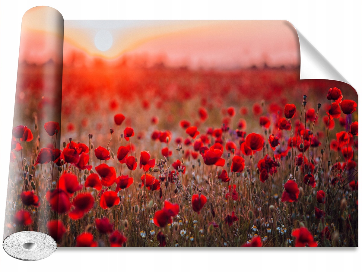 

Tapeta Samoprzylepna Pole maków 416x254