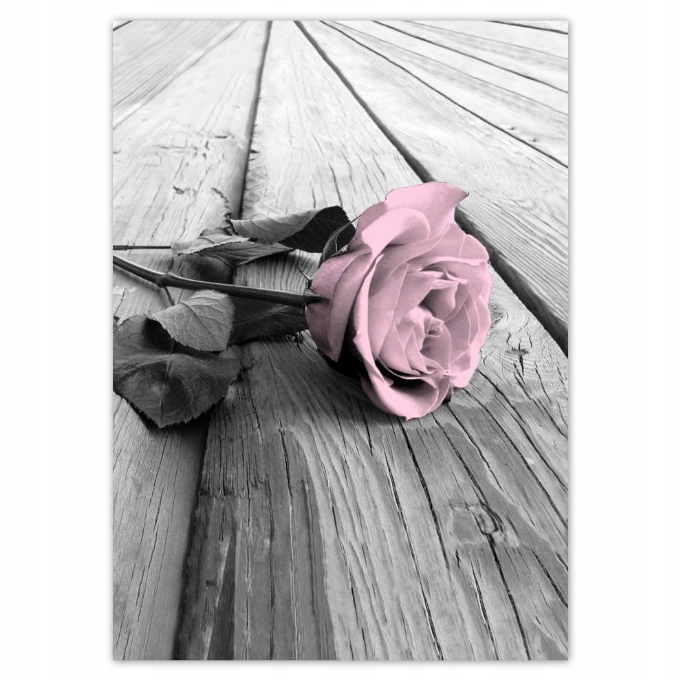 

Naklejki 50x70 Pudrowy róż Old pink Rose