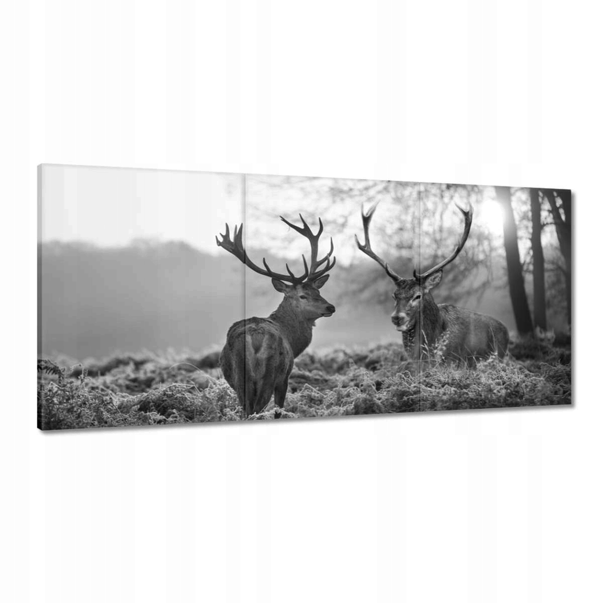 Obrazy 210x100 Černobílí jeleni