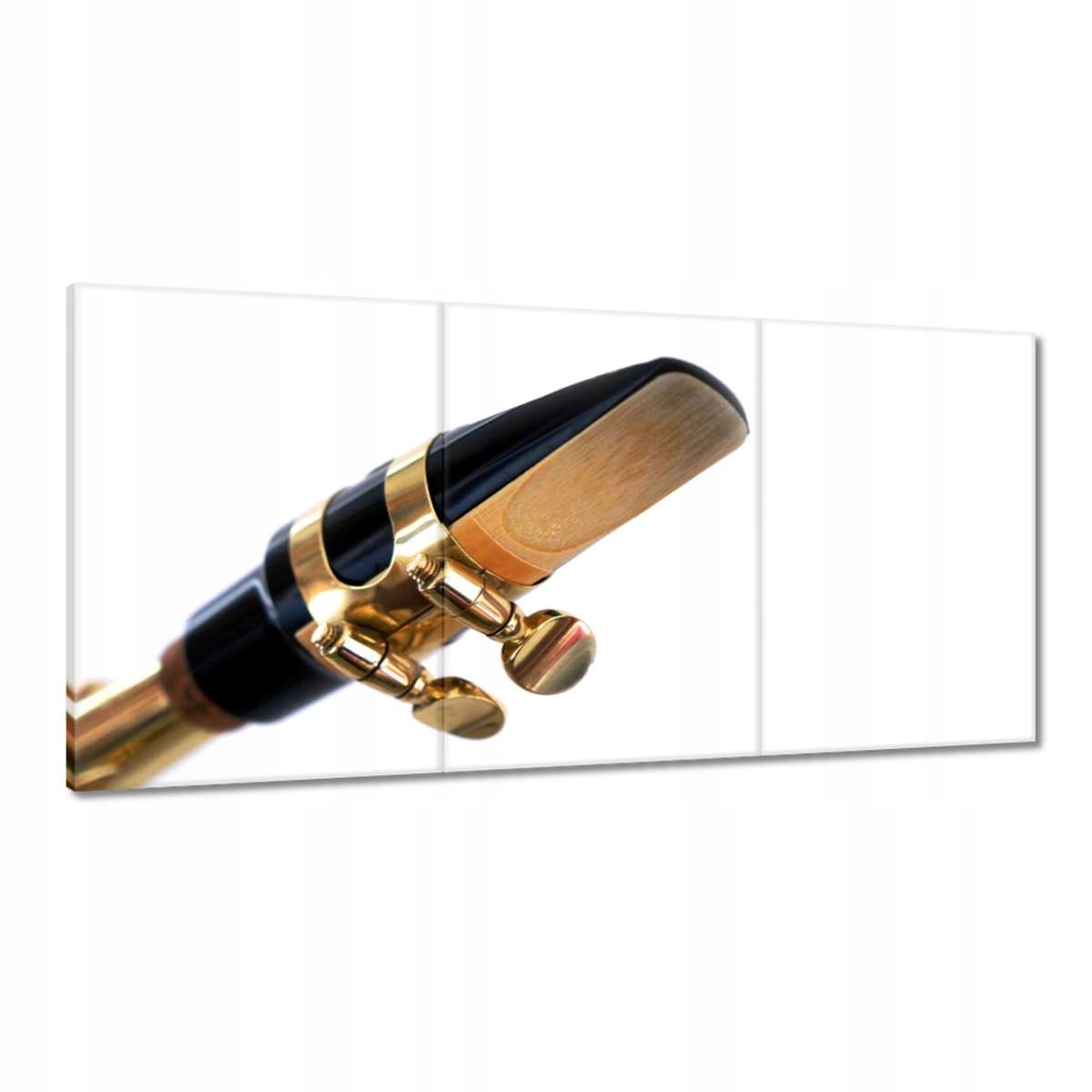 Obrazy 180x90 Saxophone