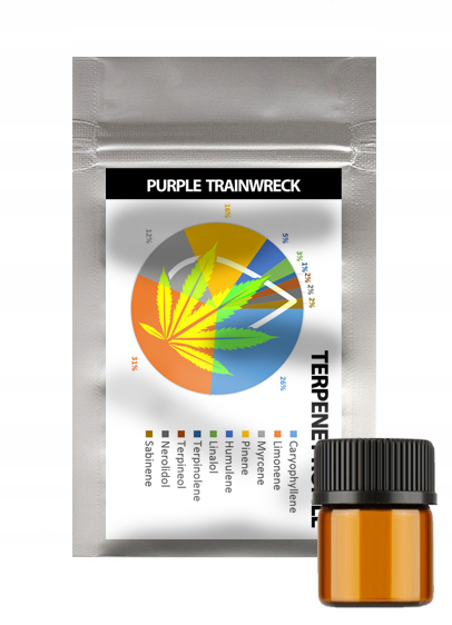 Naturalne terpeny konopne Profil Terpenowy Purple Trainwreck| 1ml