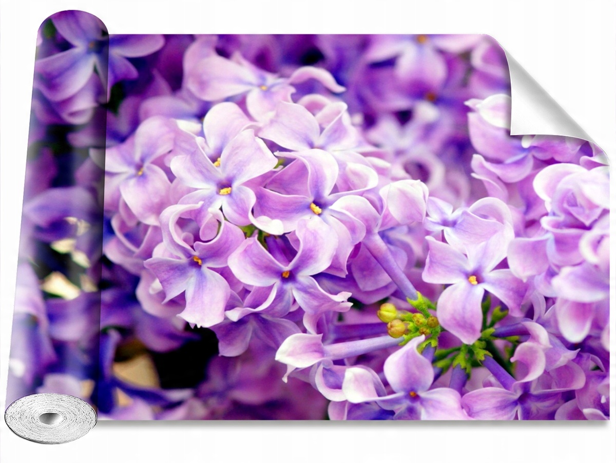 

Tapeta Samoprzylepna Fioletowe kwiaty 208x146