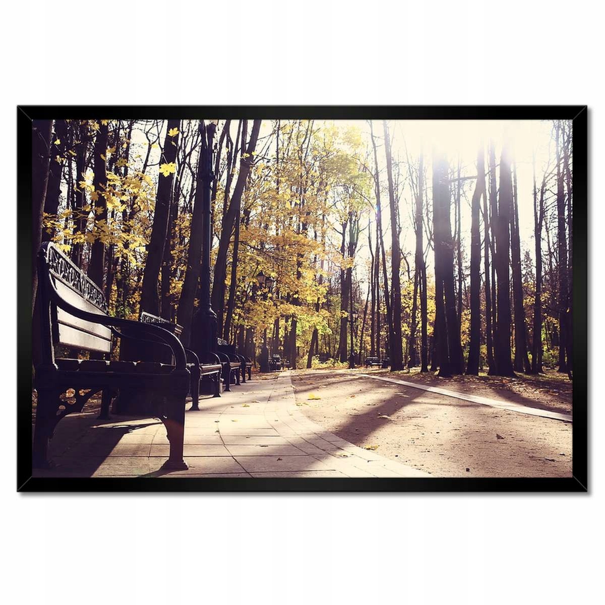 Plakáty v rámu 60x40 Městský park Krajina