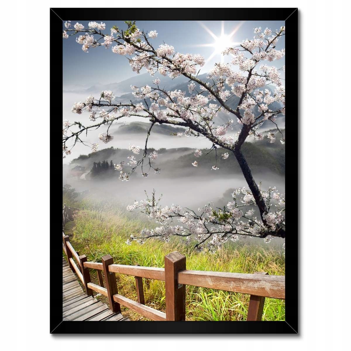 Plakáty v rámu 30x40 Japonsko Kvetoucí višeň