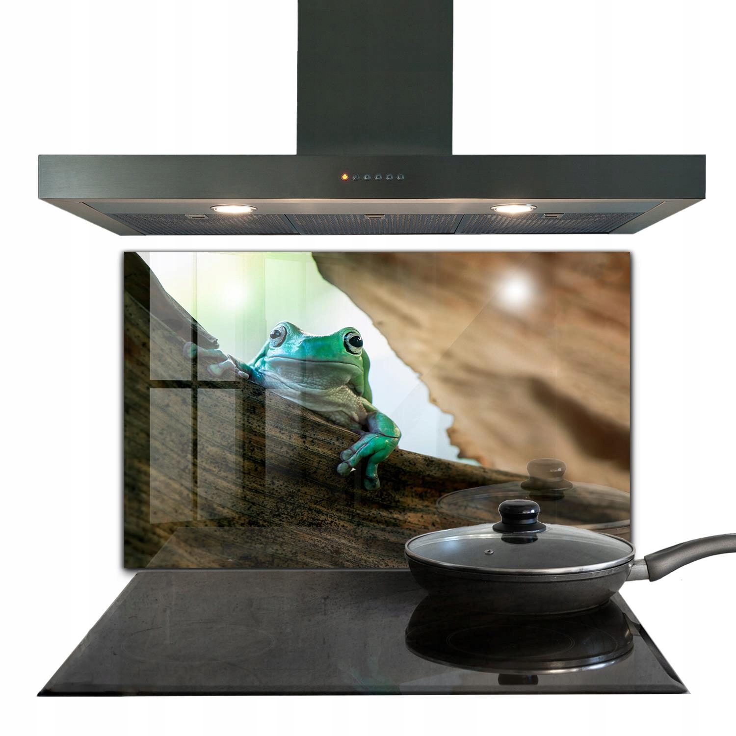 Panel Kuchyňa Pokoj Africká žaba Portrét 100x70
