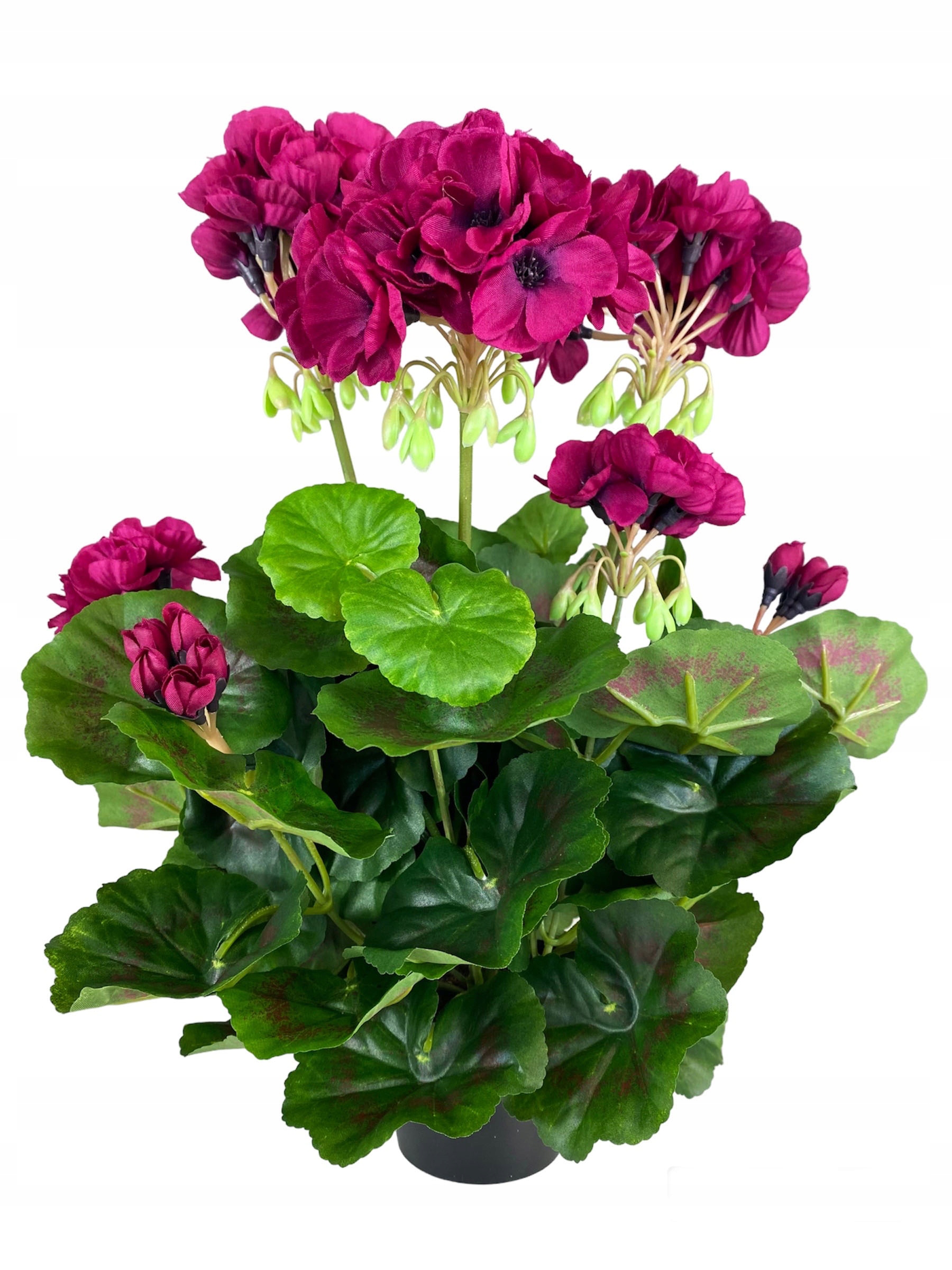 

Pelargonia Sztuczna Bordowa W Doniczce Jak Żywa