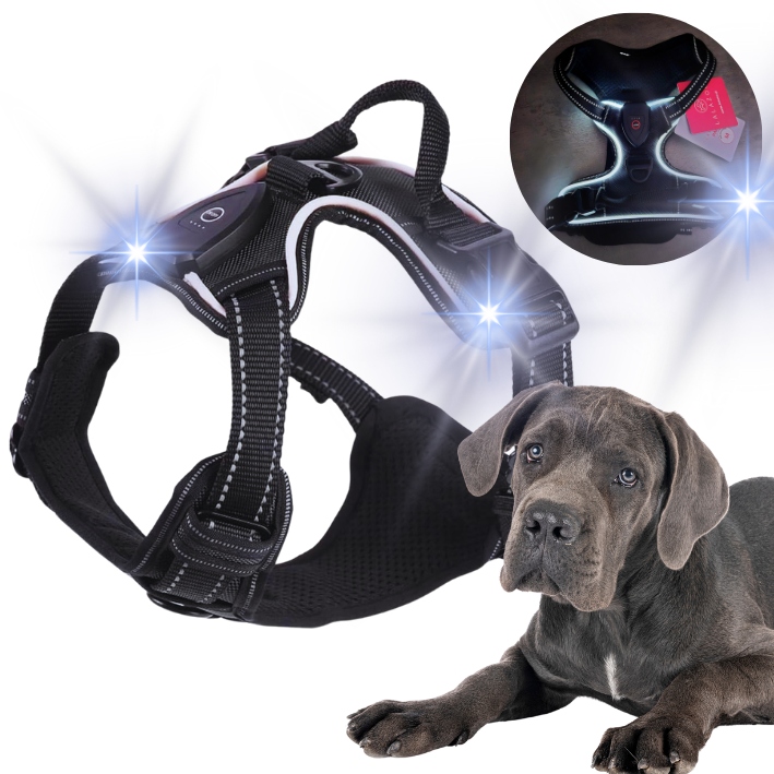Levně Svítící Led postroj pro psa, netlakový, typ Guard Paris, černý, vel XL