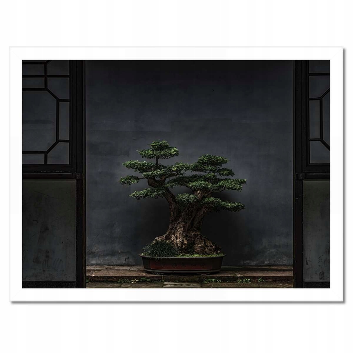 Plakáty v rámu 40x30 Bonsai Stromek Kultura