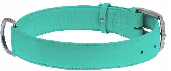 Obojek Pro Psa Z Kůže Waudog Collar 35 MM 46-60 CM, Tyrkysový, Silný