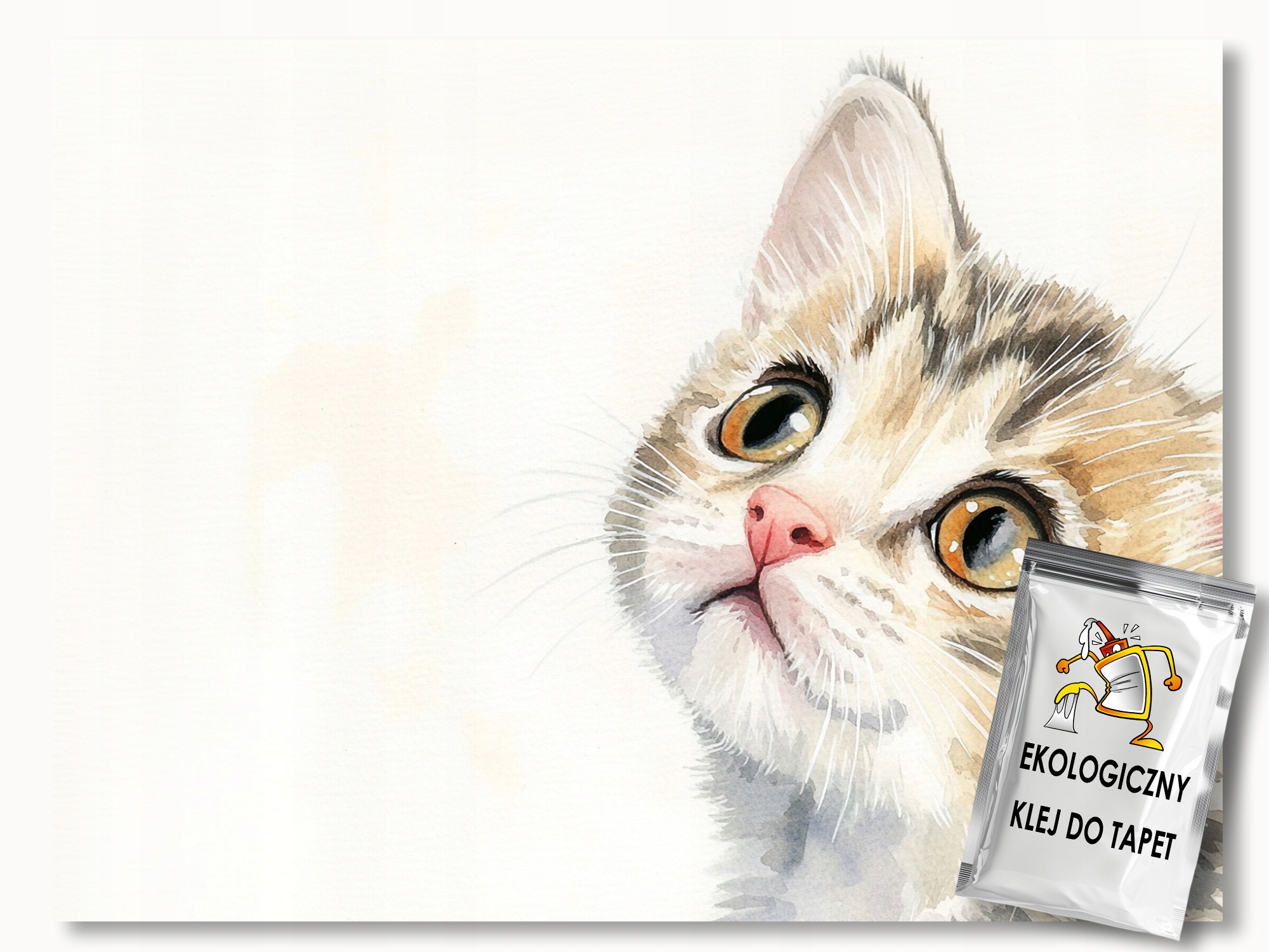 Fototapeta Flizelina Akvarel Portrét Zvědavý Kočka Kotě 208x146 lepidlo