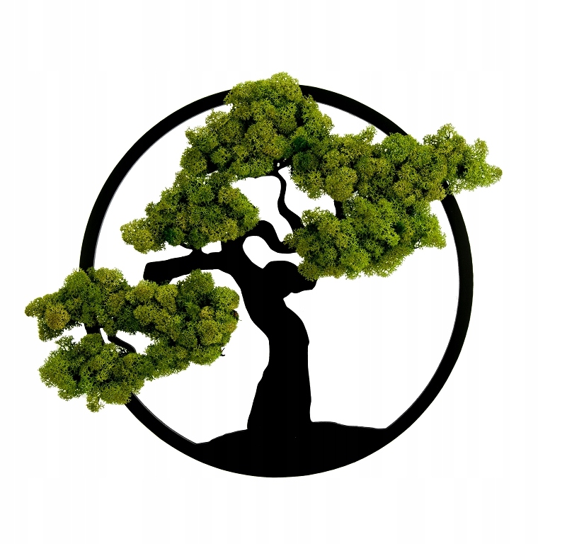 

Drzewo Bonsai obraz z mchem Mech Chrobotek 35cm