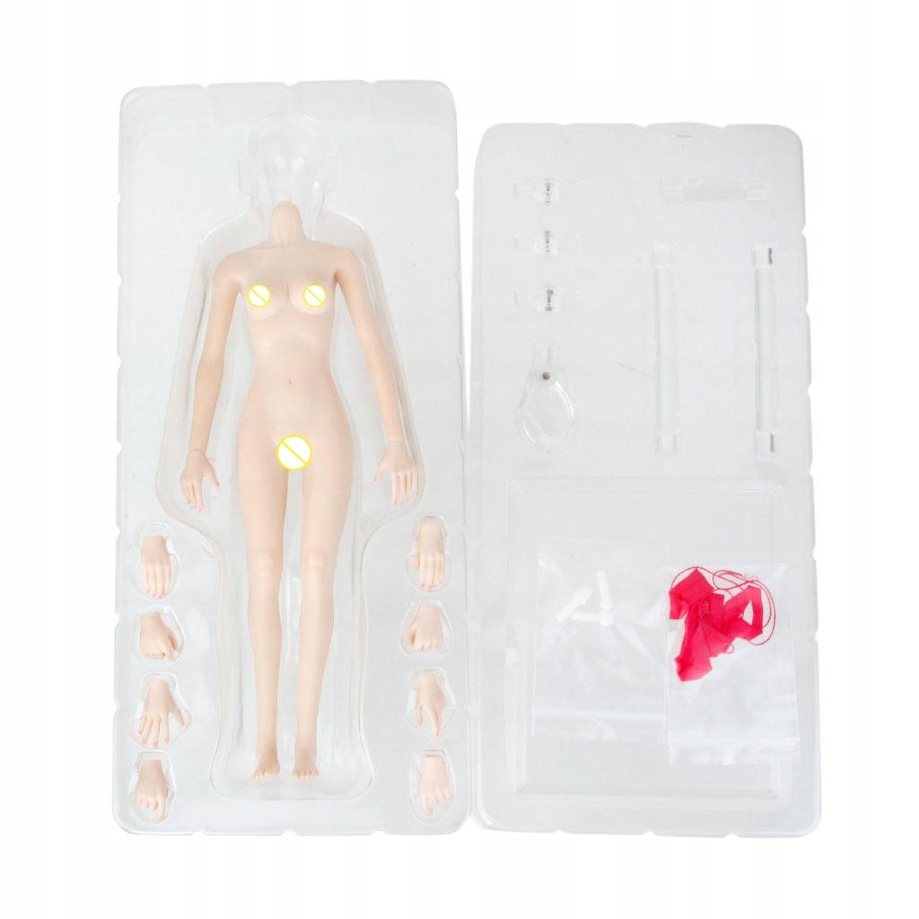 Gumowy korpus w skali 1/6 w skali 1/6. Normalny