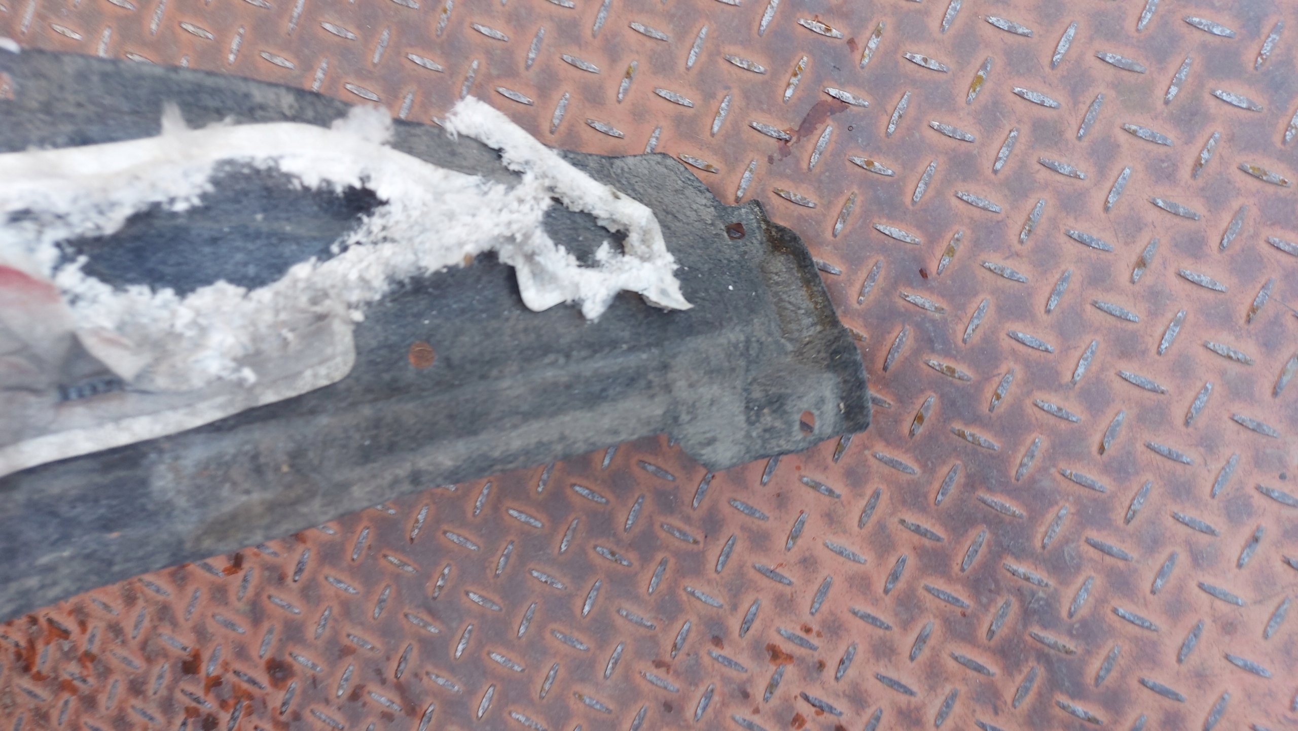 mudguard right front TOYOTA RAV4 IV 12-18