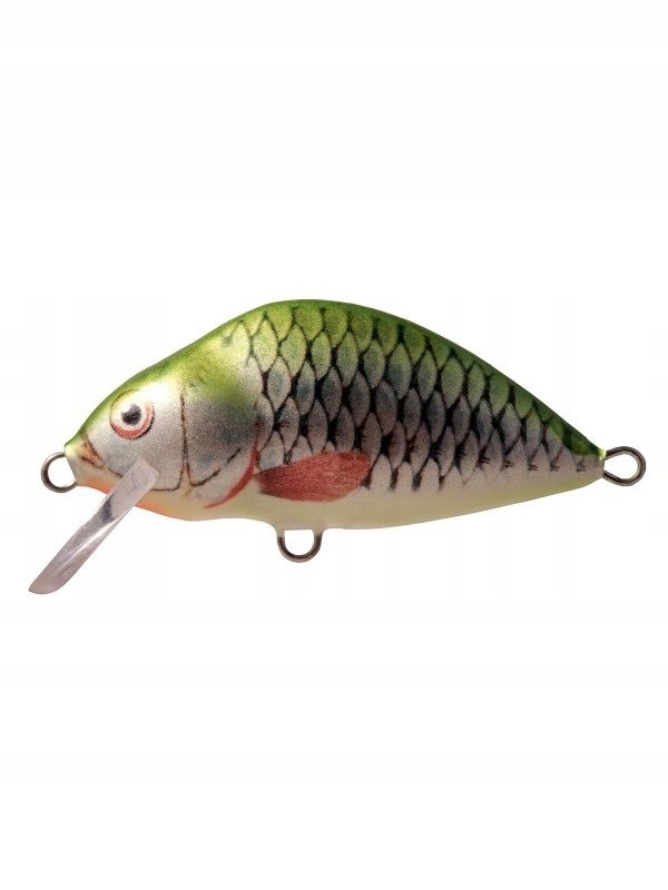 LAKE 7 CM FLOATING GFR