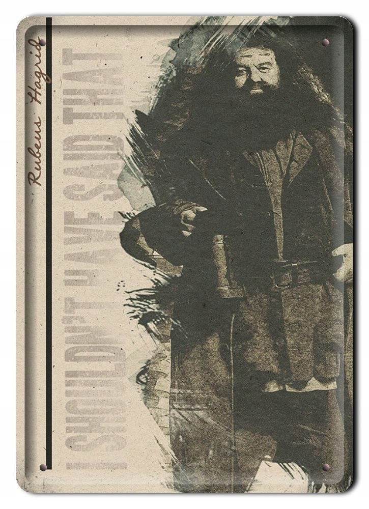 Plakat Metalowy Szyld Retro Harry Potter #11991