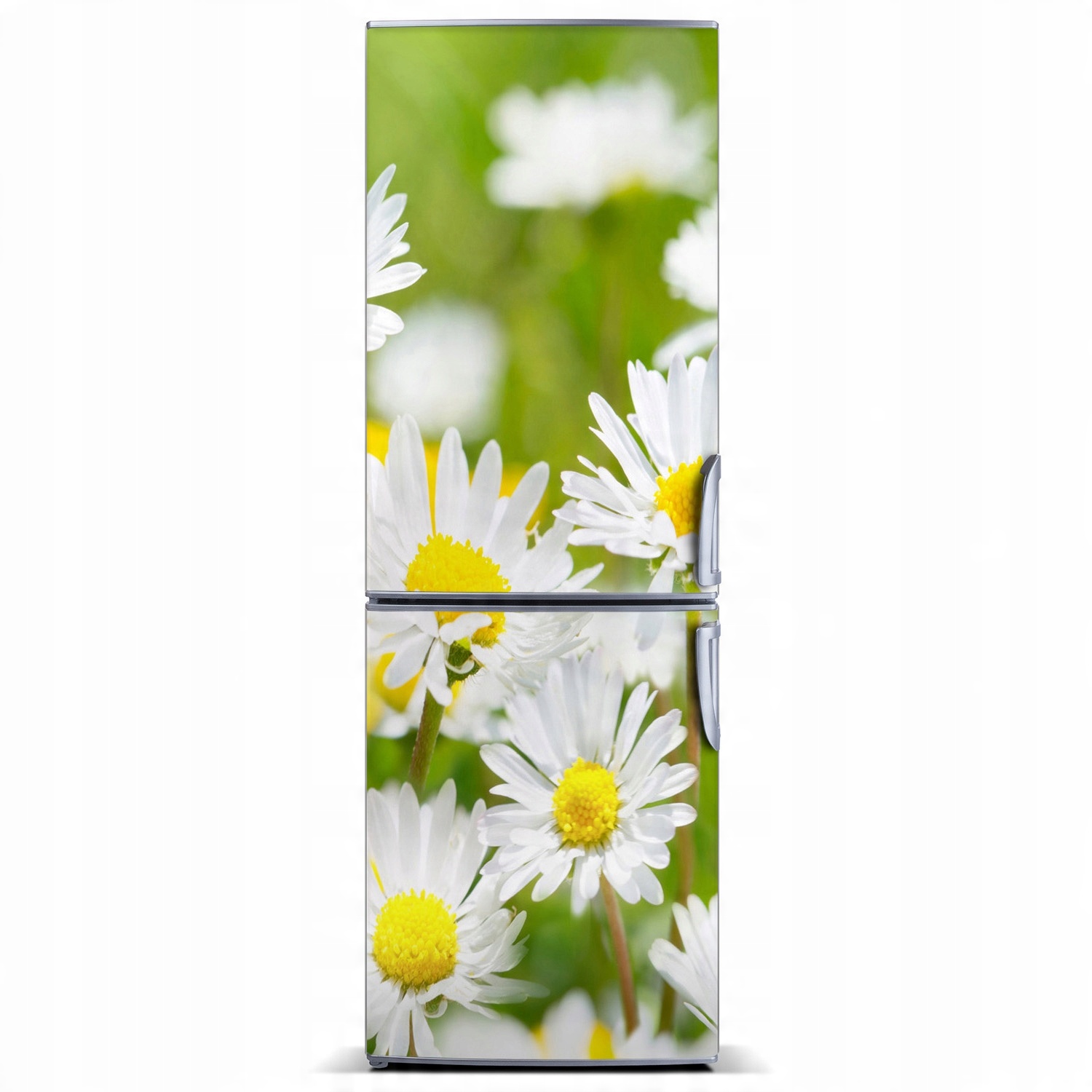 

Naklejka Magnes Stokrotki na wymiar 60x180