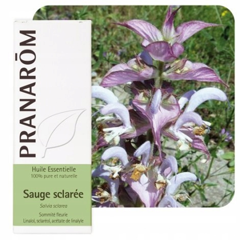 

Olejek eteryczny szałwiowy szałwia Clary sage 10ml