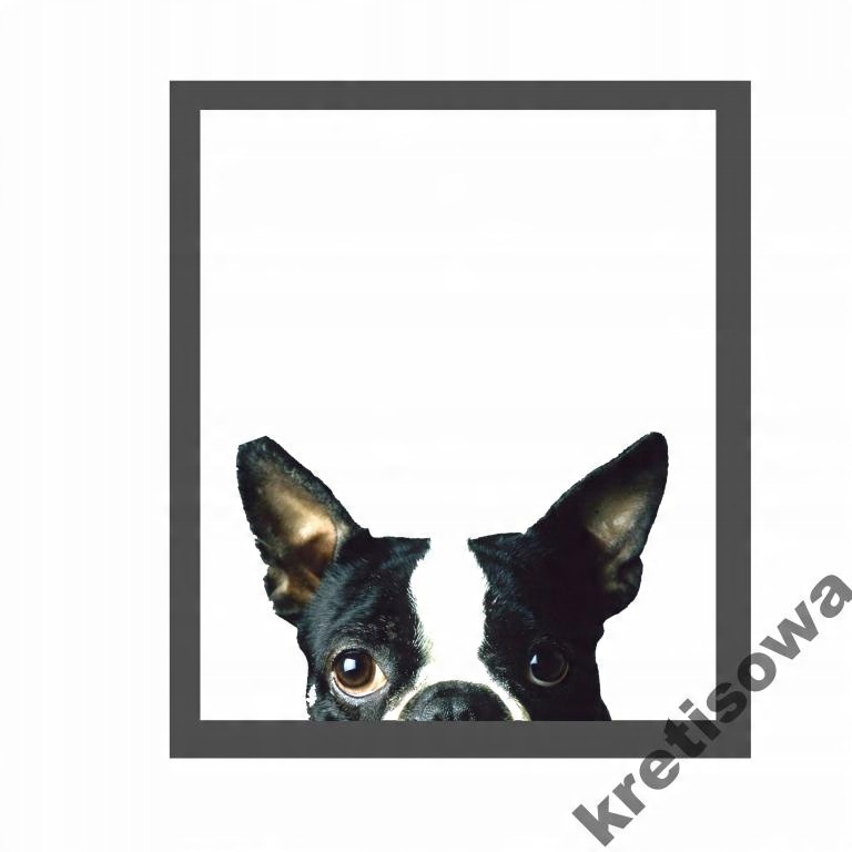 

Damska Pies Dog Doberman Buldog Husky Wzory r6a
