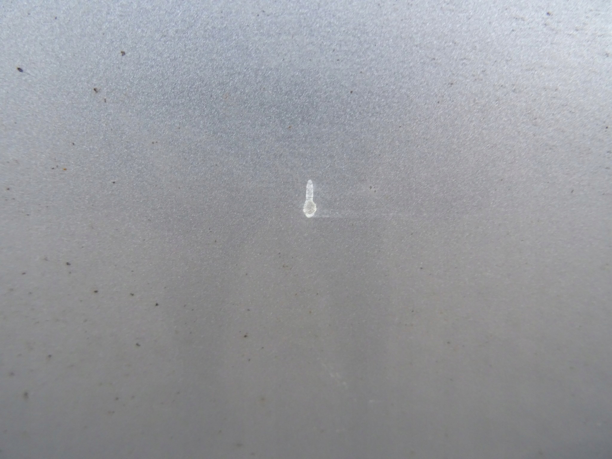 FORD FOCUS MK3 door right right front HB
