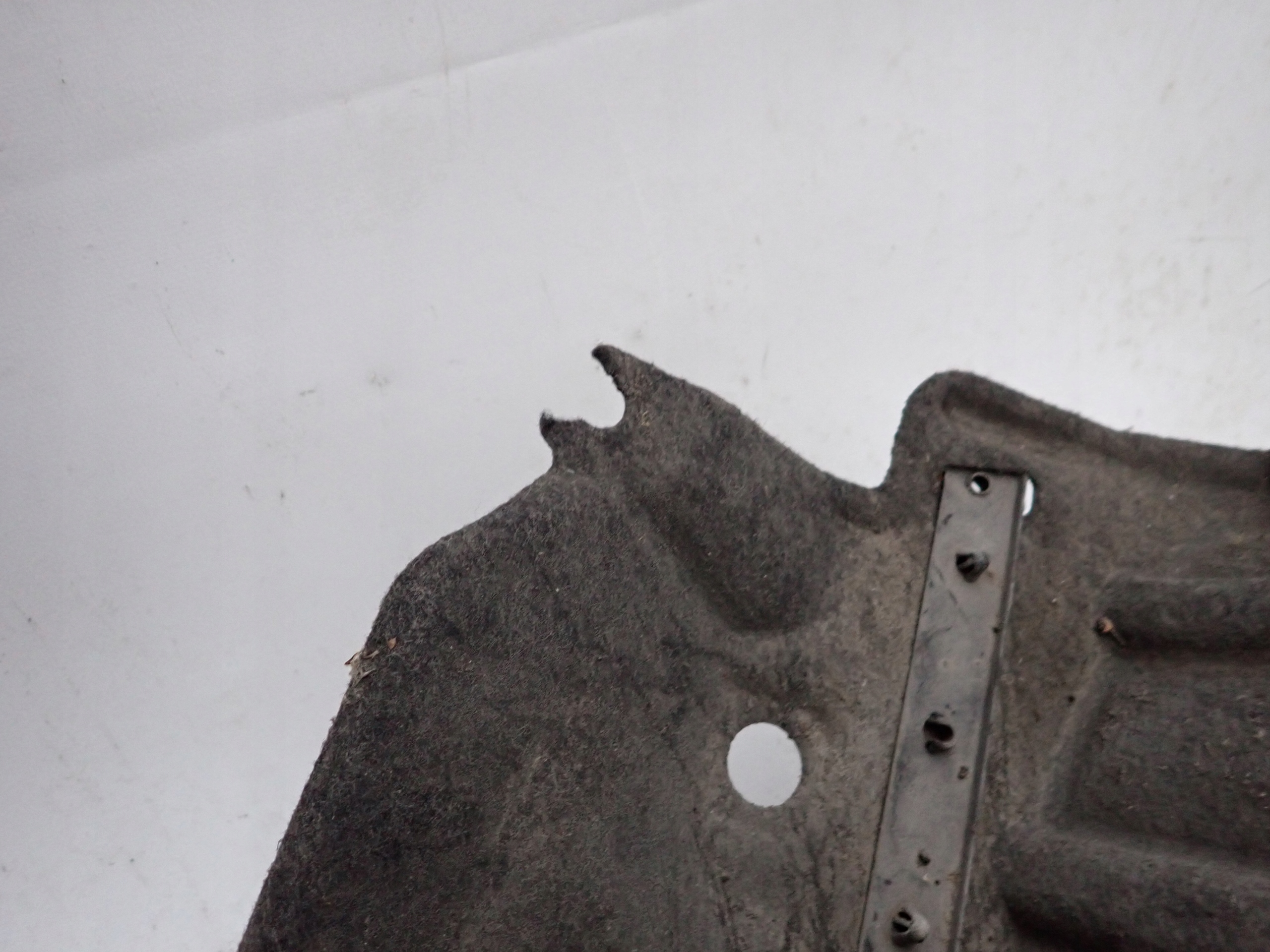 TOYOTA RAV4 IV 13- mudguard left front front