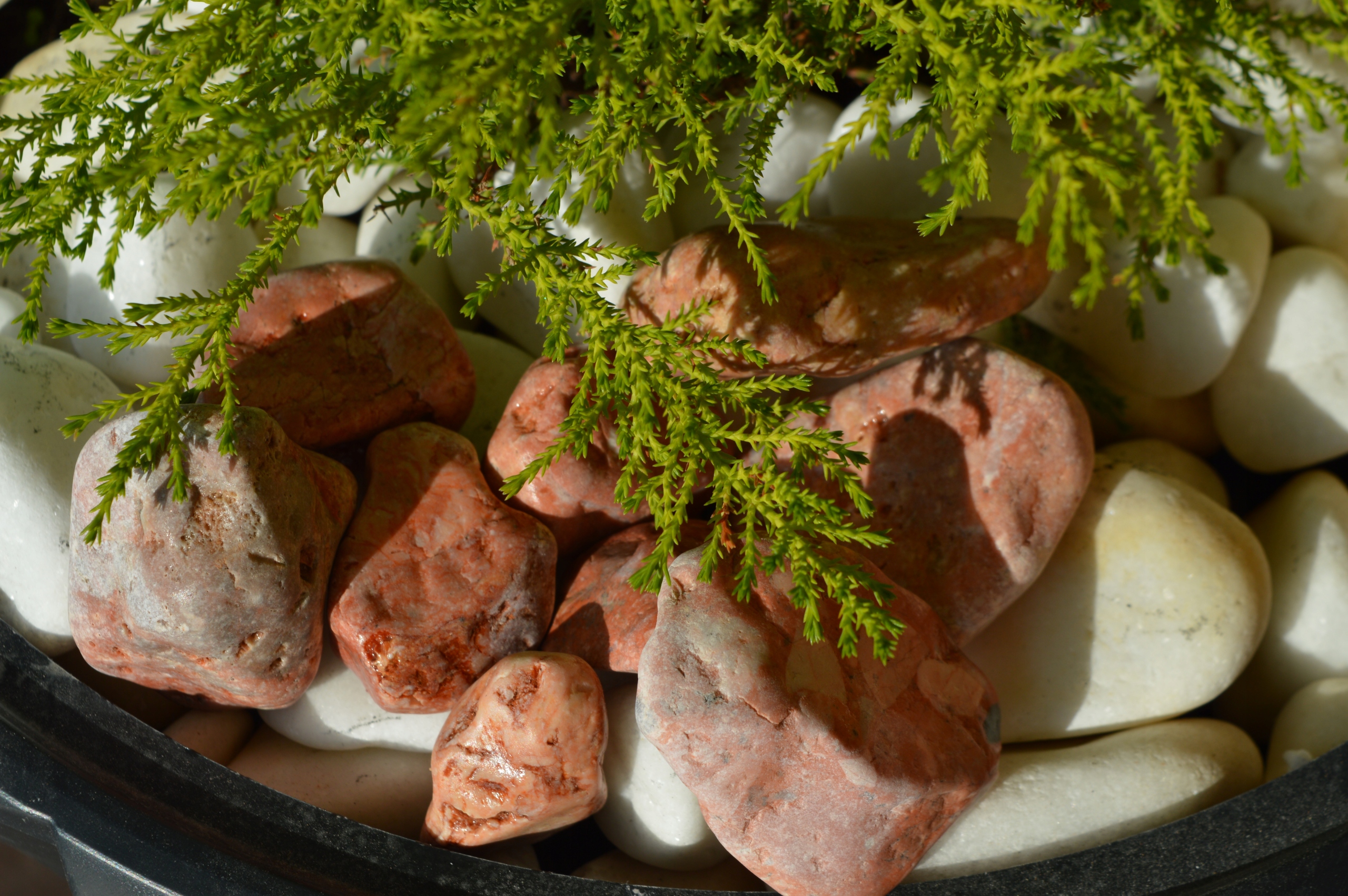 OTOCZAK RÓŻOWY PINK PASTELOWY OGRÓD KAMIEŃ NOWOŚĆ Marka inna