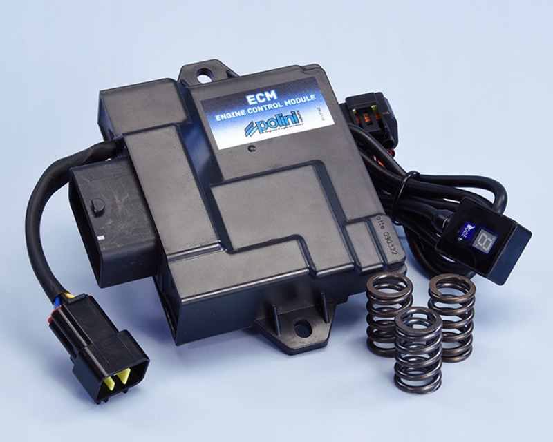 Riadiaci modul motora Polini Ecm 171.0012