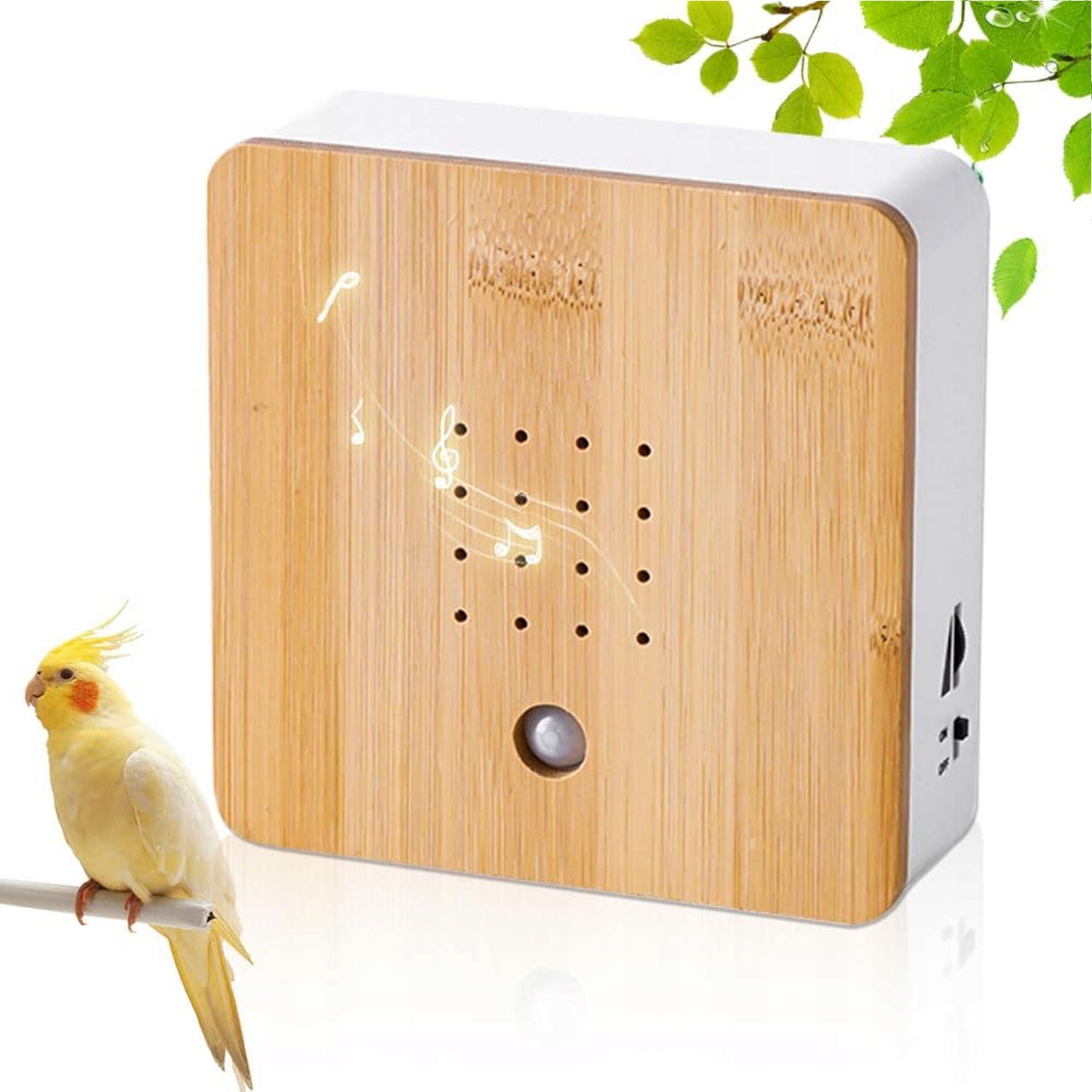 Soundbox Birdsong ćwierkający ptak Soundbox z czujnikiem ruchu 12 cm