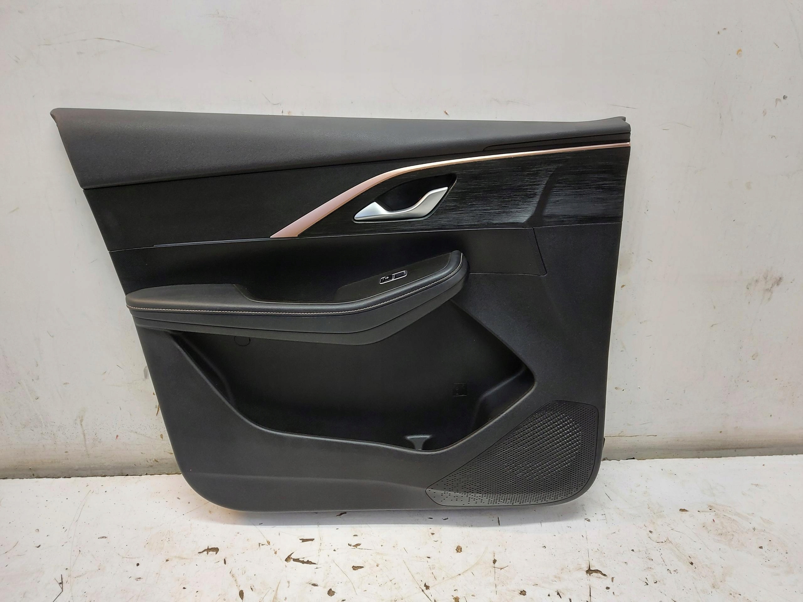 Chery Omoda 5 2024 upholstery side door left left front ANGLIK O