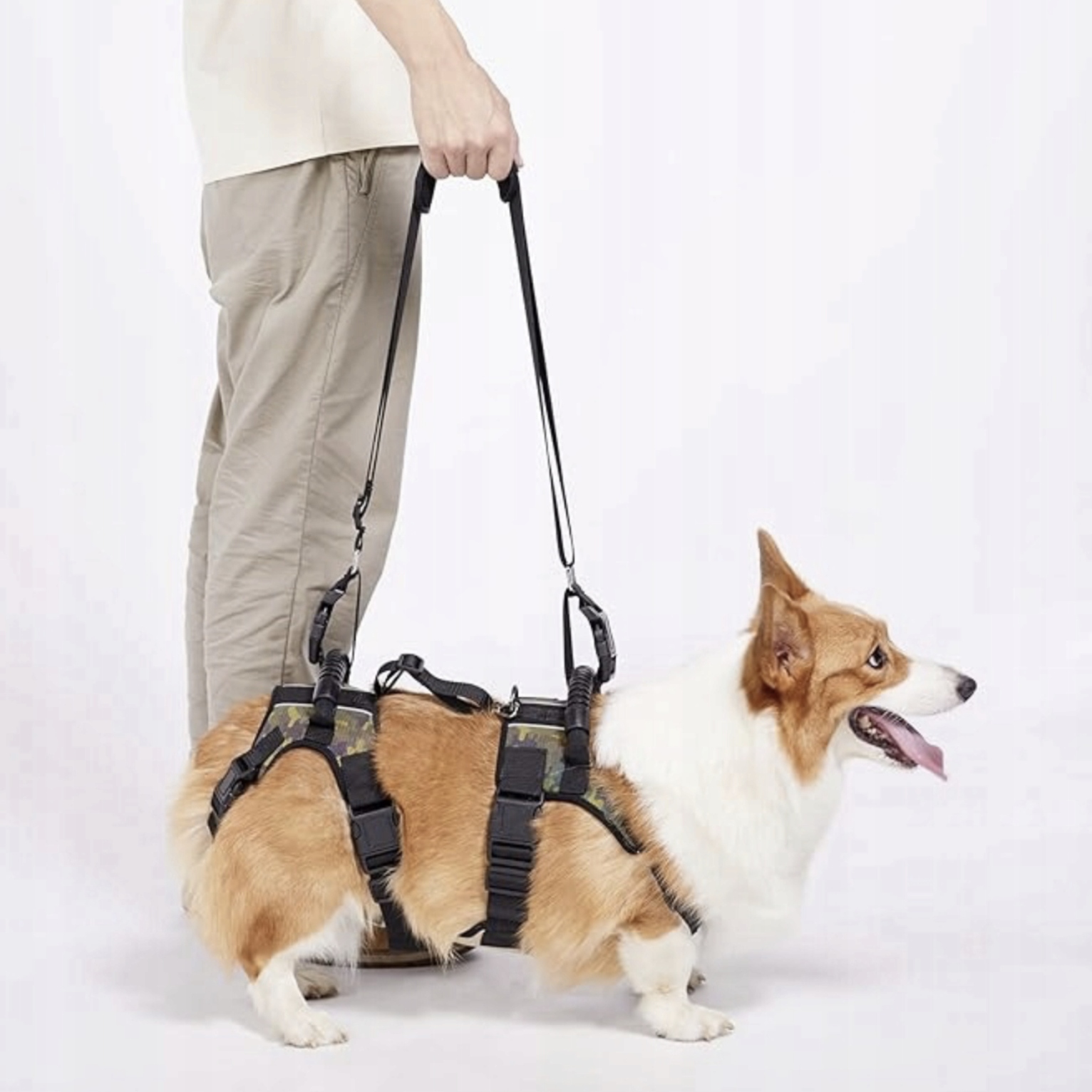 Coodeo Postroj pro psa Podpora celého těla a regenerace Nosítko XXXL