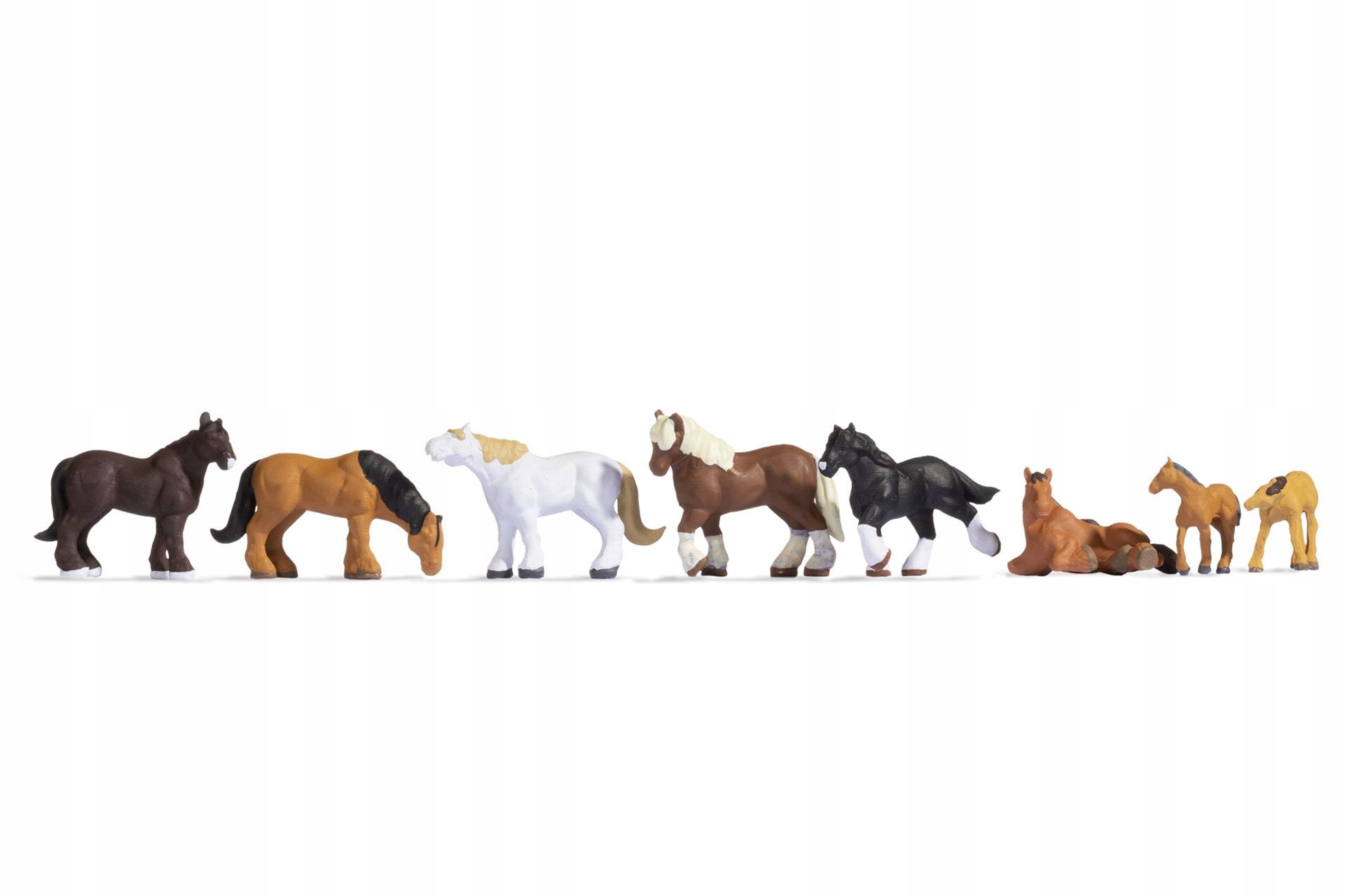 Noch 15762 Chladnokrevní koně