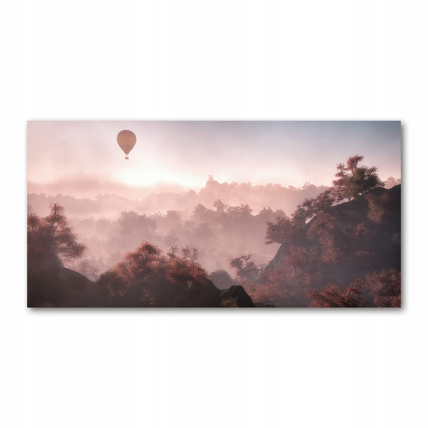 

Foto obraz akryl zdjęcie Balon nad lasem 120X60 cm
