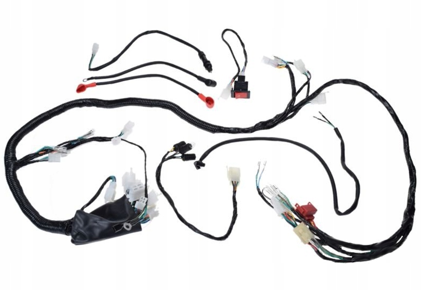 BS2501 - ЭЛЕКТРОПРОВОДКА ДЛЯ ATV BASHAN BS250S-5