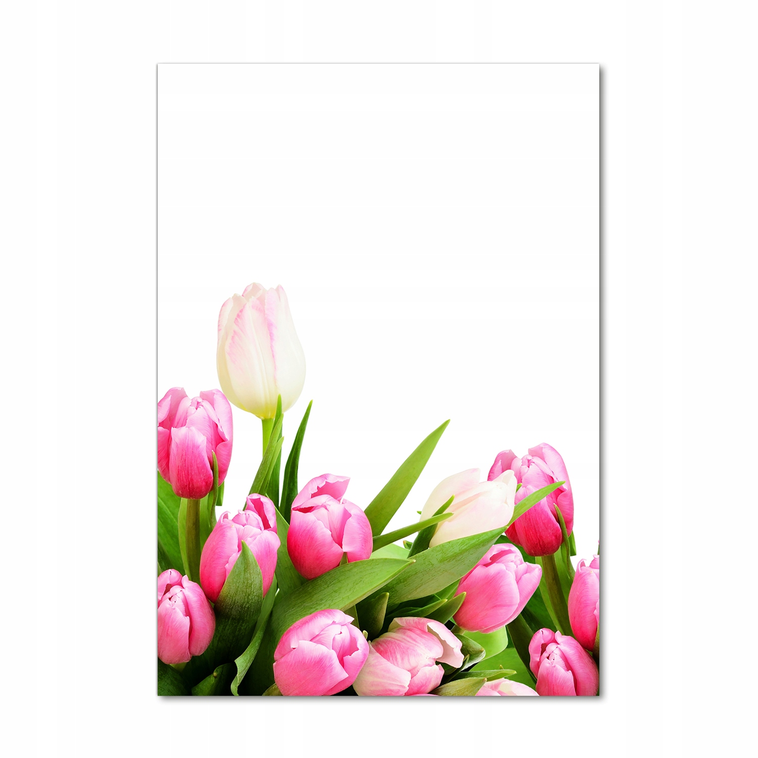 Fotoobraz sklo Růžové tulipány 70x100 cm