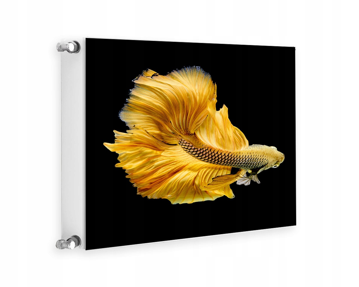 MAGNETYCZNA OSŁONA NA KALORYFER 60x60 RYBA FOTOTAPETA