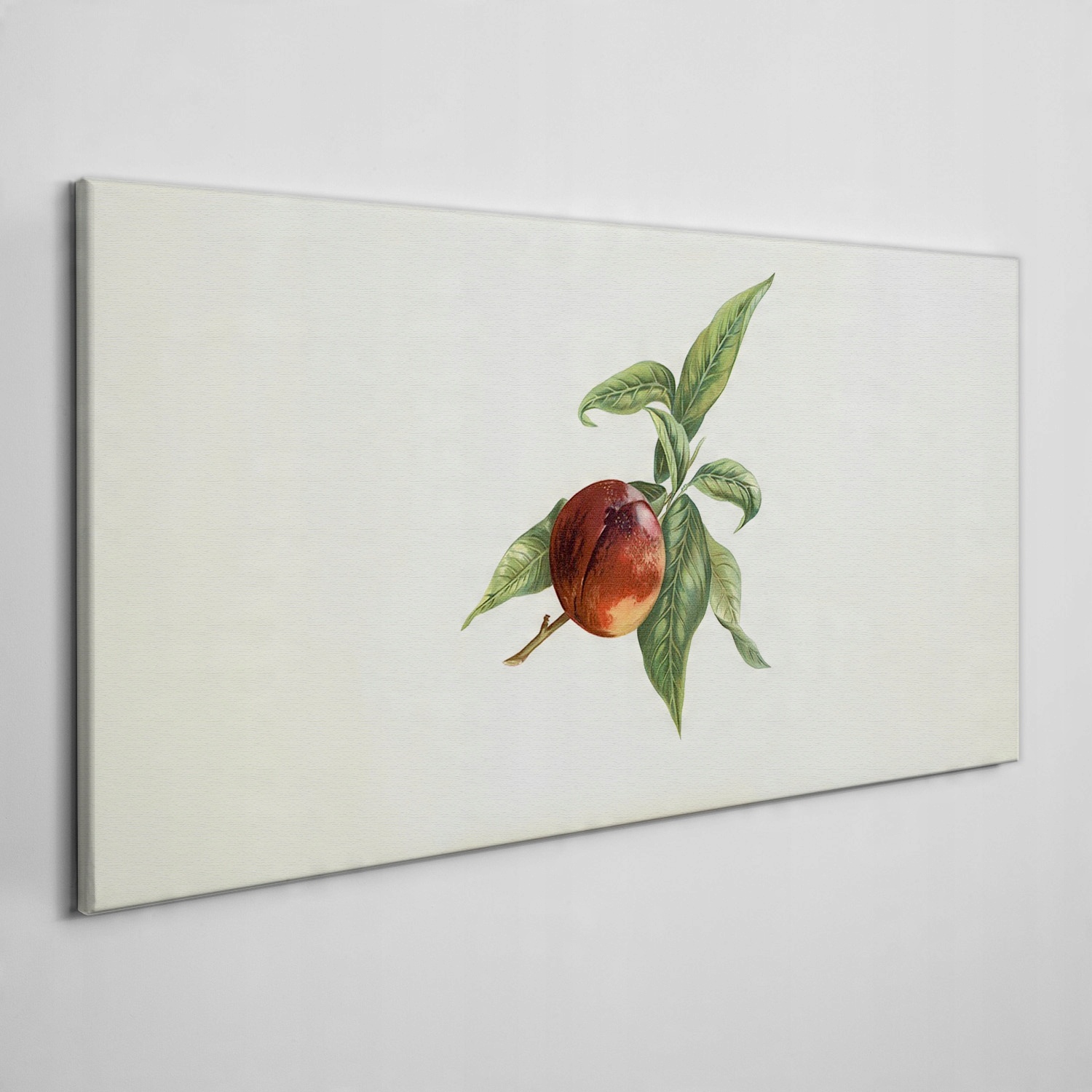

Obraz na ramie płótno Owoce gałąź liście 100x50 cm