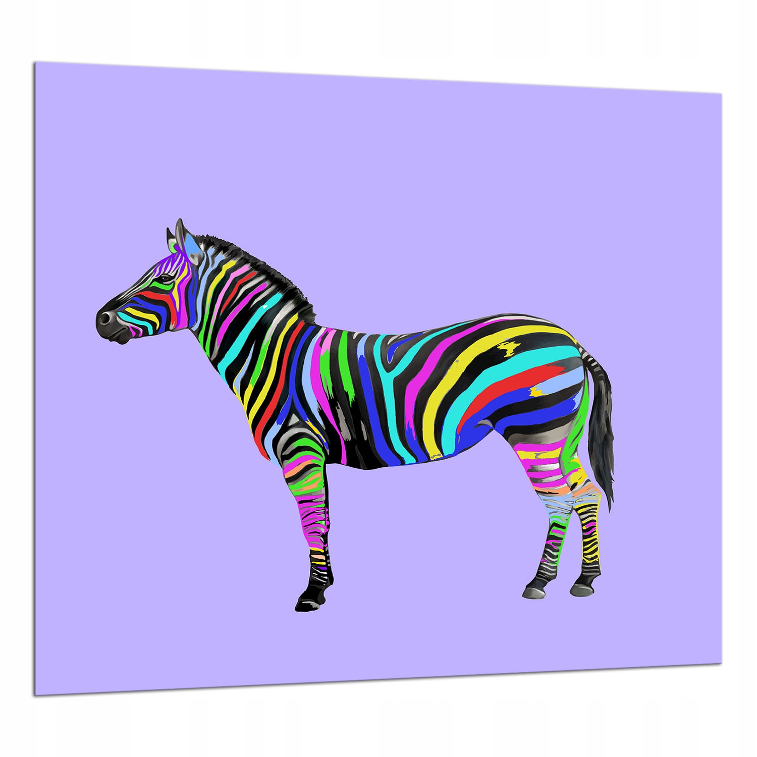 Skleněný Ochranný Panel Do Kuchyně 65x60 Zebra Lacobel 7v1