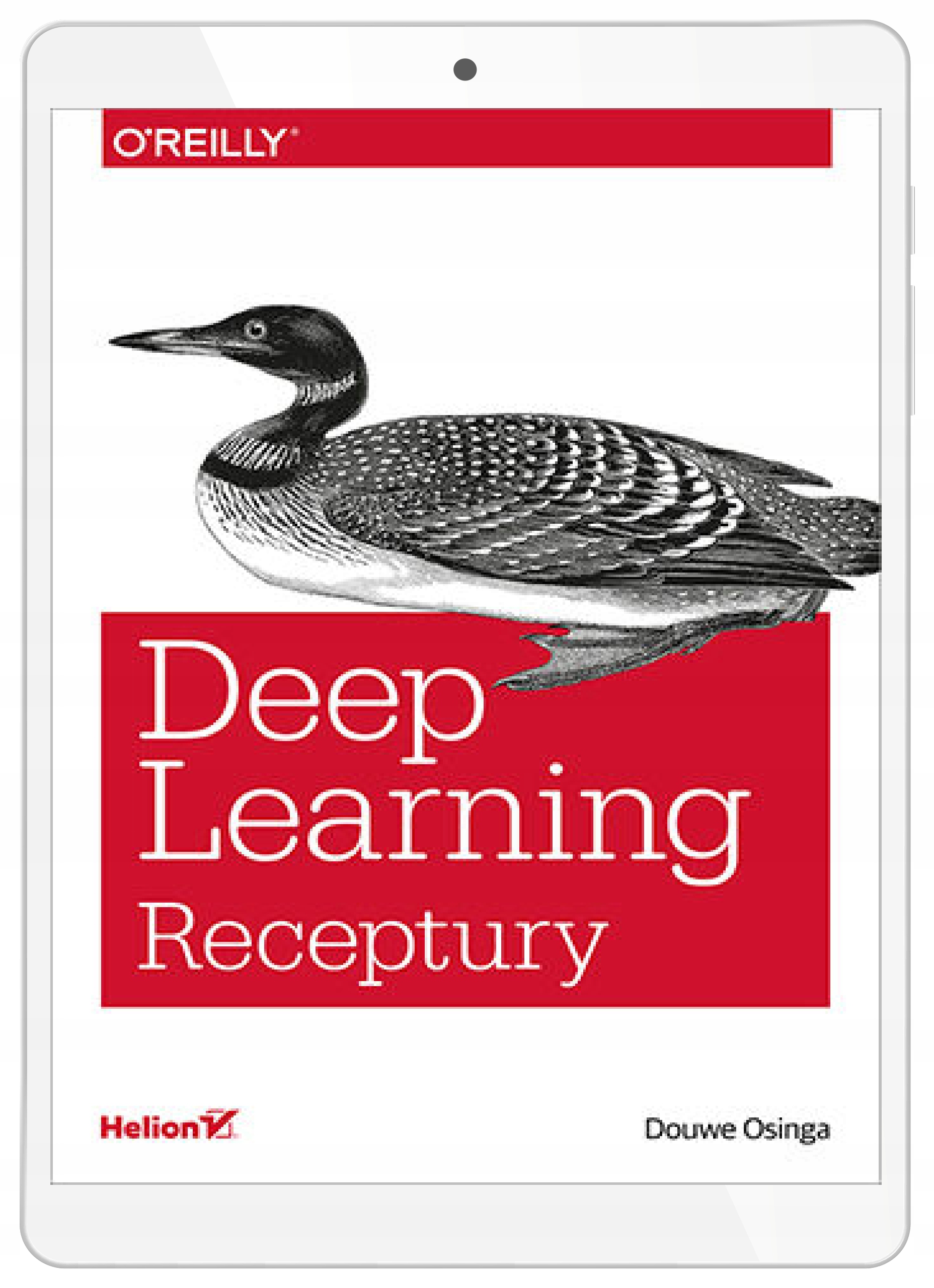 Deep Learning. Receptury