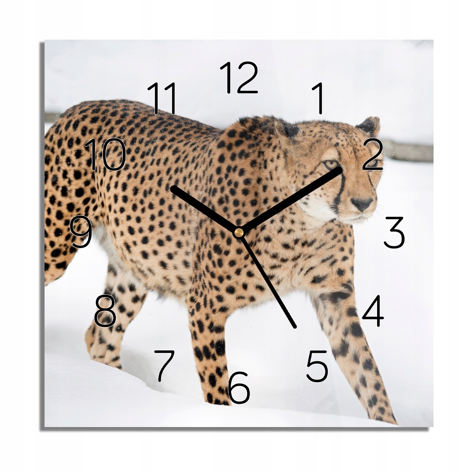 

Gepard zima śnieg foto-zegar do salonu 30x30 cichy