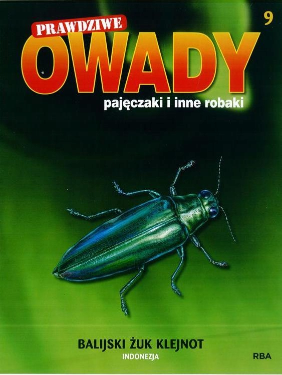 Prawdziwe Owady, Pajęczaki nr 9 Balijski Żuk