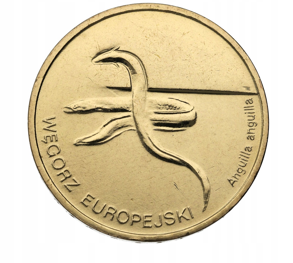 2zł Węgorz (101-102)