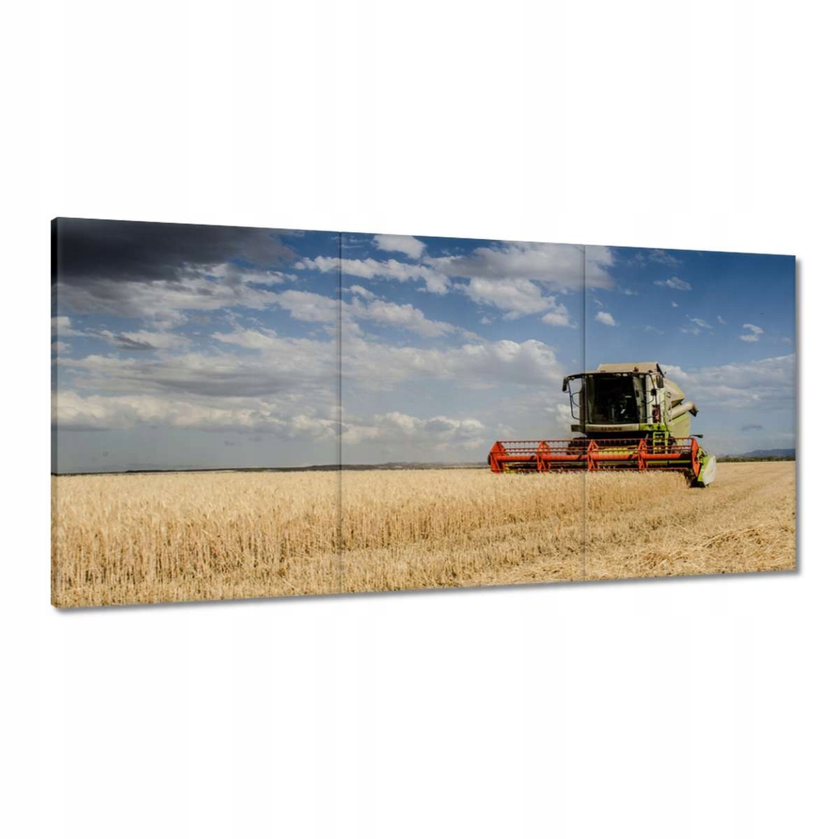 Obrazy 180x90 Kombajn počas žatvy