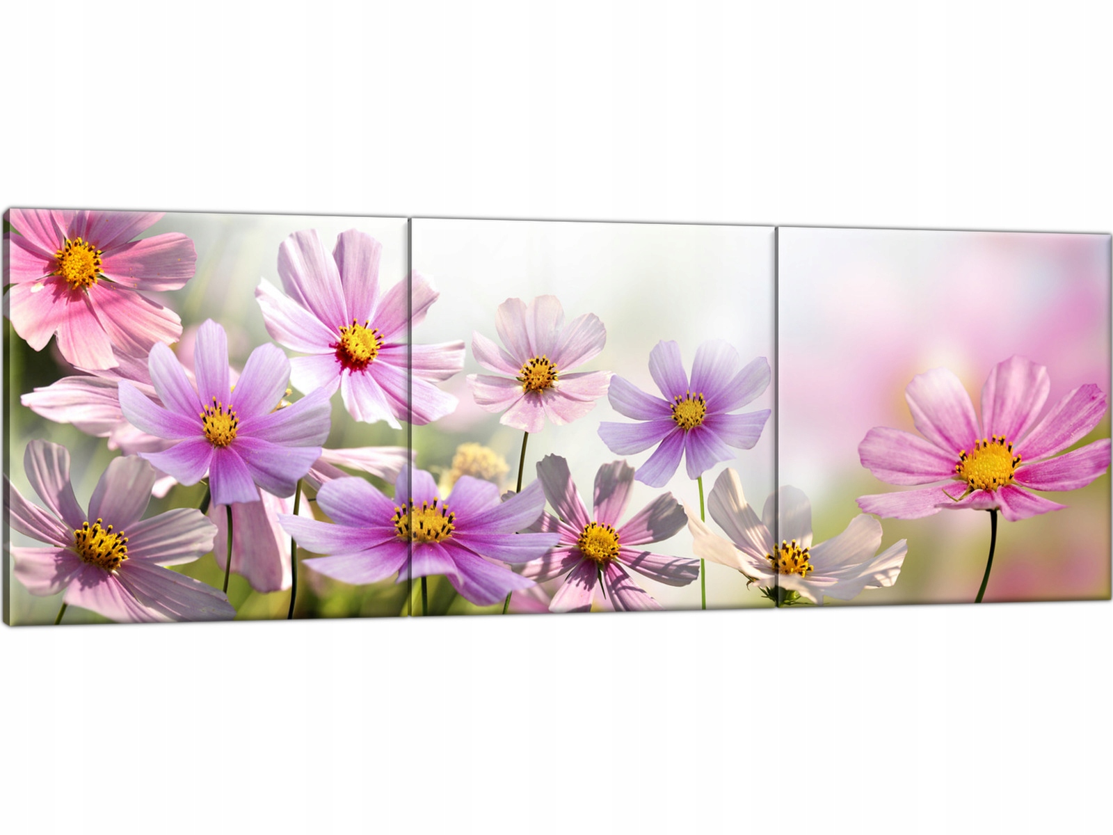 

Tryptyk Różowe kwiaty Łąka 150x50 Piękny Obraz