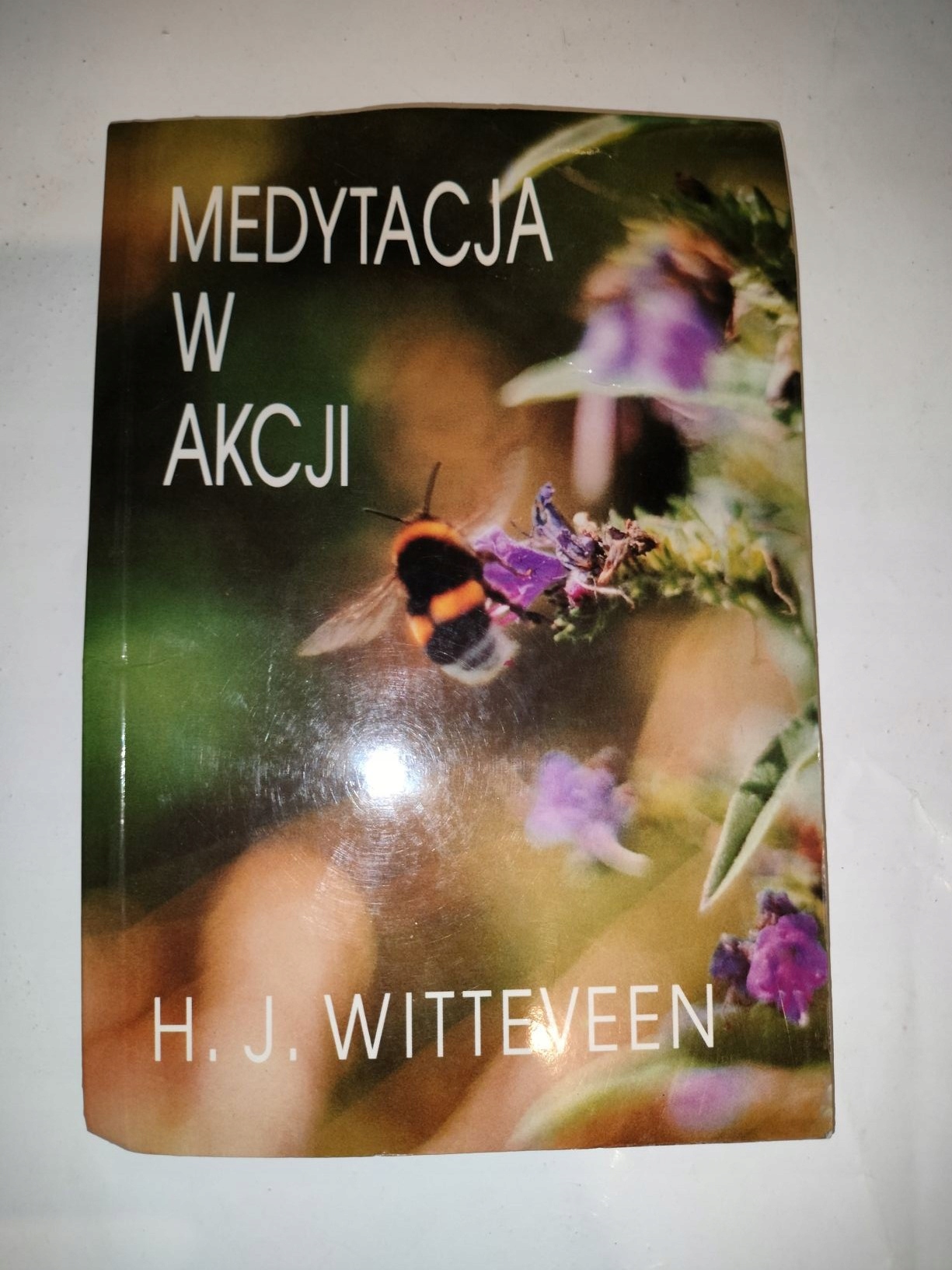 Medytacja w akcji Witteveen
